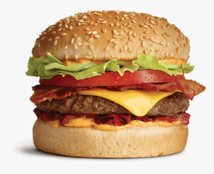 Chicken Burger | Satdobato Burger House & Crunchy Fried Chicken Pvt. Ltd.
